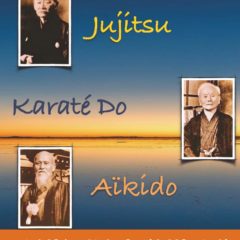 STAGE MULTI-DISCIPLINES: JUJITSU, AIKIDO, KARATE A FOUESNANT LE 20 AVRIL 2024.